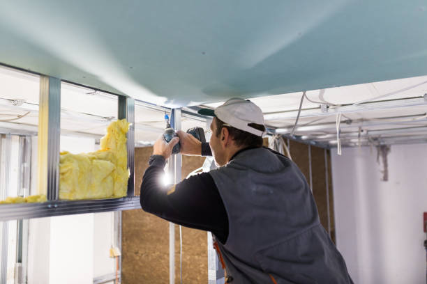 Best Insulation Maintenance and Repair in Mulberry, IN