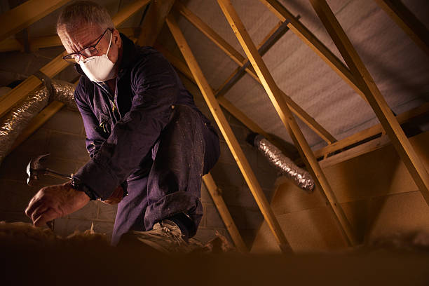 Types of Insulation We Offer in Mulberry, IN